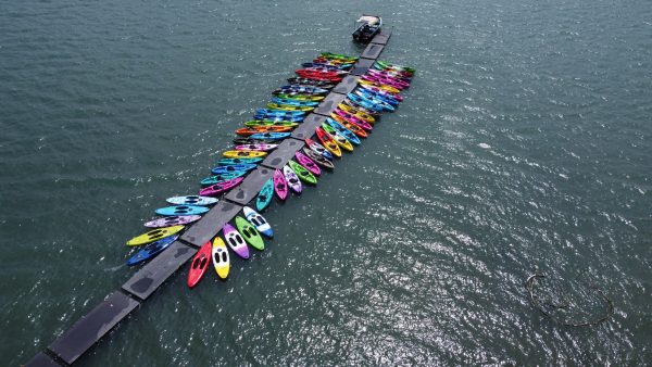 EFoil Club HK 香港電動水翼滑水板會